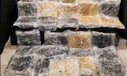 Antalya'da uyuşturucu operasyonu: 34 kilogram skunk ele geçirildi