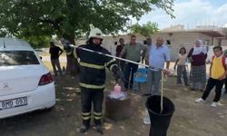 Araç motoruna sıkışan yılan kurtarılarak doğaya salındı