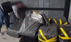 Arnavutköy'de 398 kilo skunk ele geçirildi