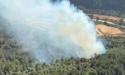 Balıkesir'de orman yangını: Havadan ve karadan müdahale ediliyor