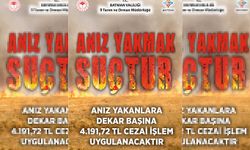 Batman Valiliği'nden anız uyarısı: Dekar başına 4 bin 191 TL ceza