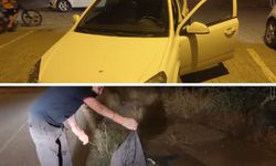 Batman'da araca giren yılan yakalanarak doğaya salındı