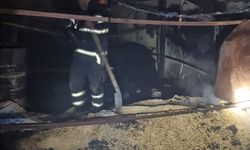 Batman'da hobi bahçesinde çıkan yangında 3 at telef oldu
