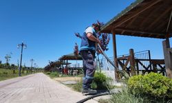 Battalgazi Belediyesinden Kırkgöz Sahil Parkında temizlik çalışması