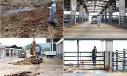 Bayramın ardından Bursa'daki kurban alanları temizlendi