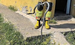 Bingöl'de evde çıkan yılan ekiplerce yakalanıp doğaya bırakıldı