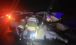 Bingöl'de hafif ticari araç yola çıkan ata çarptı: 1 ölü, 2 yaralı