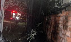 Bingöl'de korkutan bahçe yangını