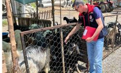 Bozyazı'da tarımsal destek ve denetimler sürüyor