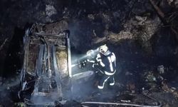 Denizli'de devrilen araç orman yangınına neden oldu