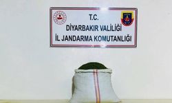 Diyarbakır'da jandarmadan uyuşturucu operasyonu
