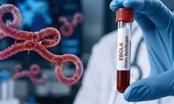Ebola salgınına karşı acil önlem çağrısı: En ölümcül seviyeye ulaşmak üzere