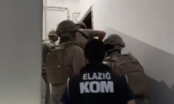Elazığ merkezli 4 ilde suç örgütü operasyonu: 29 şüpheli gözaltına alındı