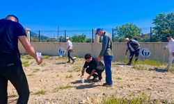 Gaziantep'te bin zeytin fidanı toprakla buluşturuldu