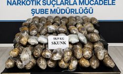 Hakkari'de 58 kilo 900 gram skunk ele geçirildi