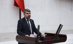 HÜDA PAR Milletvekili Dinç, başıboş köpek sorununu bir kez daha Meclis'e taşıdı