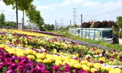 Konya'da park ve caddeler çiçeklerle renklendirildi