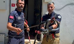 Mahallelinin 3 yıllık 'korkulu rüyası' yakalandı