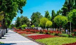 Malatya'da parklar ve kavşaklar çiçeklerle süslendi