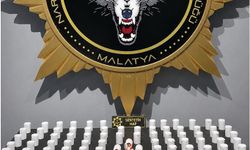 Malatya'da 'Torbacı' operasyonunda 2 gözaltı
