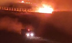 Mardin'de anız yangını sınır hattına sıçradı