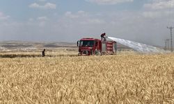 Mardin'de yaklaşık 300 dönüm ekili alan yandı