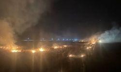 Mardin'de yerleşim alanlarına sıçrayan anız yangınları kontrol altına alındı