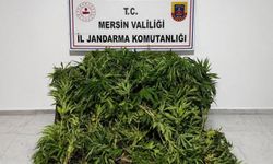 Mersin'de uyuşturucu operasyonunda bir şüpheli tutuklandı
