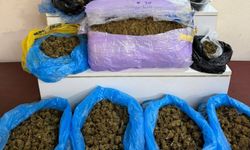 Muğla'da durdurulan otomobilde 5 kilogram skunk ele geçirildi