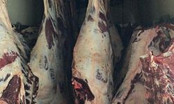 Sakarya'da tüketime uygun olmayan 1,8 ton et imha edildi