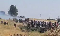 Şanlıurfa'da çıkan yangında 500 dönüm buğday ekili alan yandı