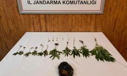 Şanlıurfa'da uyuşturucu operasyonu