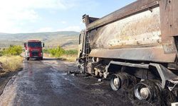 Siirt'te seyir halindeki kamyon alev aldı