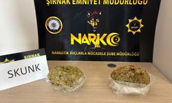 Şırnak'ta asayiş operasyonlarında 37 tutuklama