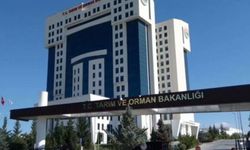 Taklit ve tağşiş listesinde Mersin'den 7 firma tespit edildi