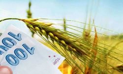 Tarımsal destek ödemeleri çiftçilerin hesaplarına aktarılıyor