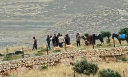 Yatta'da Yahudi çete saldırısı: 4 Filistinli yaralandı, 60 ağaç söküldü