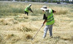 Yeşilyurt Belediyesinden yangın riskine karşı ot biçme çalışması