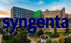 70'ten fazla ülkede yasaklanan paraquat için geri adım: Syngenta Avustralya pazarından çekiliyor