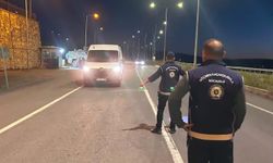 81 ilde göç denetimleri: 25 organizatör ve 355 düzensiz göçmen yakalandı