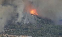 Adana'da orman yangını