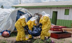 Afrika'da Ebola kaynaklı ölüm sayısı 600'ü aştı