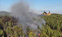 Alanya'daki orman yangınında 45 ev tahliye edildi