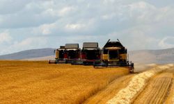 Anadolu Tarım İşletmesinde sertifikalı buğday hasadında sona yaklaşıldı