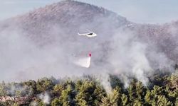 Antalya'da orman yangını