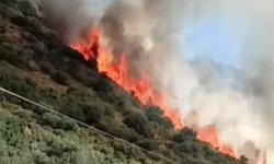 Antalya'da orman yangını