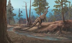 Araştırmacılar Zimbabve'de yeni bir dinozor türü keşfetti