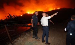 Aydın'daki orman yangınına havadan ve karadan müdahale sürüyor