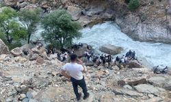 Balık tutarken Habur Çayı'na düşen genç kayboldu