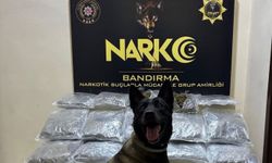 Balıkesir'de uyuşturucu operasyonu: 11 kilogram skunk ele geçirildi